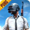 pubg国际服手游app
