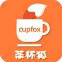 茶杯狐手机软件app