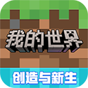 我的世界
