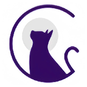 夜猫阅读 app免费阅读手机软件app
