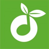 草根音乐手机软件app