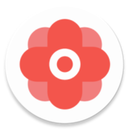 华为谷歌安装器