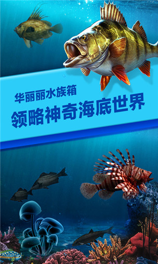 钓鱼时代手游app截图