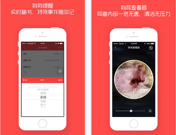 宠物宝贝app手机软件app截图