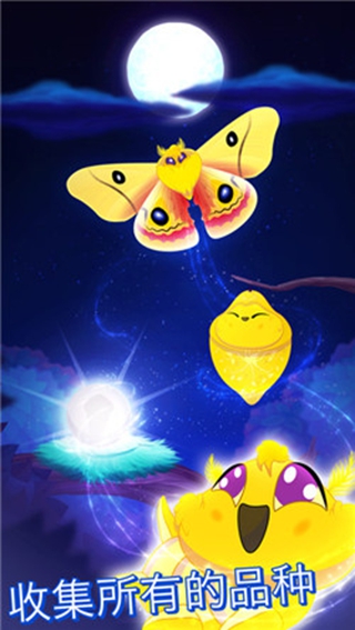 彩翼之星夜手游app截图