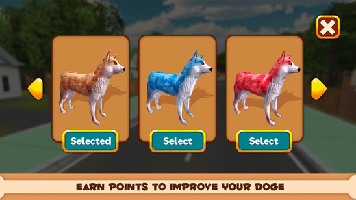 玩你的狗：芝犬手游app截图