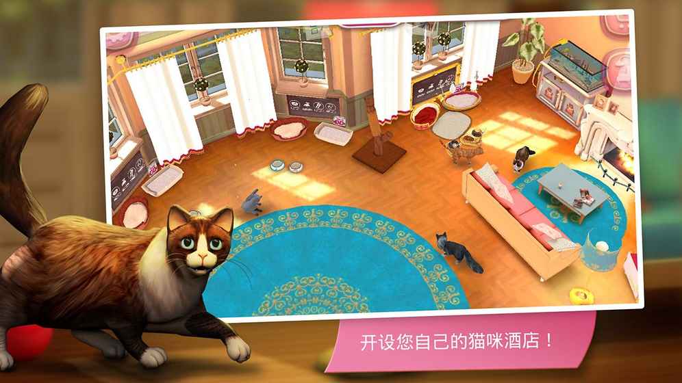 猫咪宾馆手游app截图