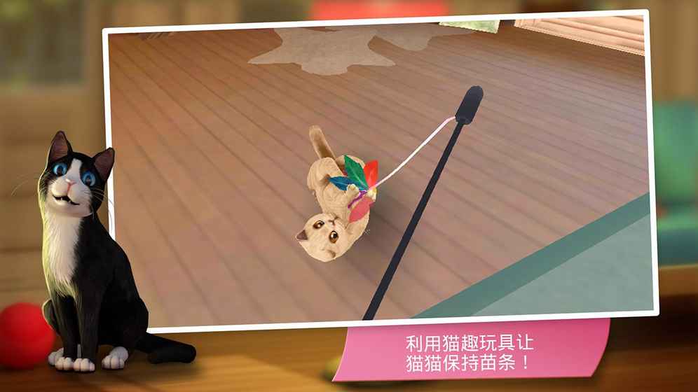 猫咪宾馆手游app截图