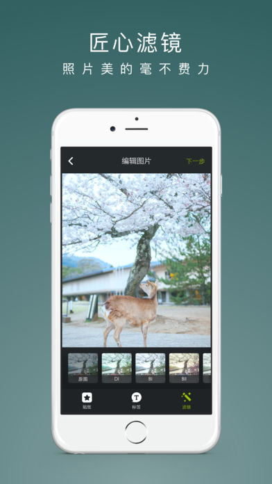 LOFTER手机软件app截图