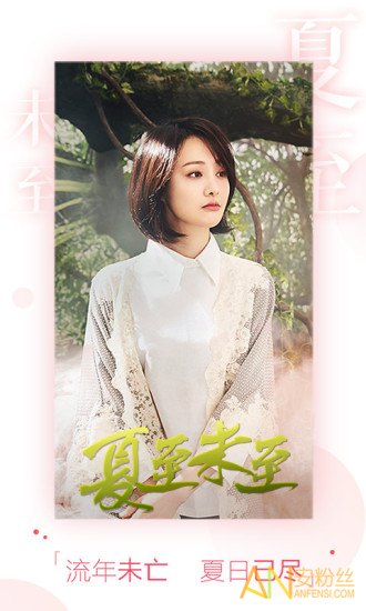 疯狂影视手机软件app截图