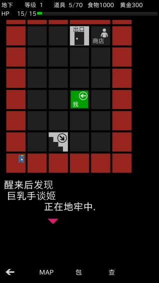 地牢武士 汉化版手游app截图