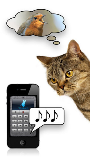 猫语翻译器手机软件app截图