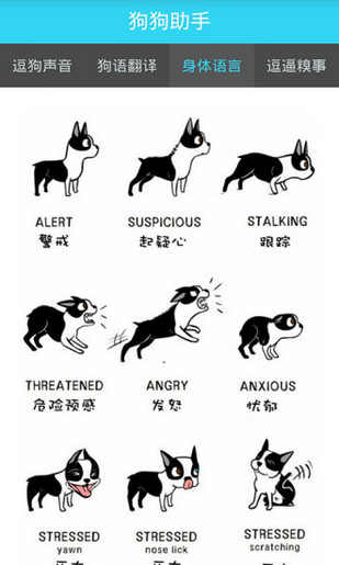 人汪交流器手机软件app截图