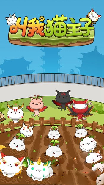 叫我猫主子手游app截图