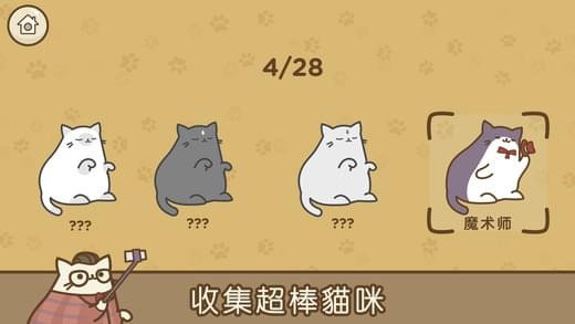 音乐猫咪手游app截图