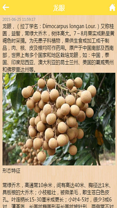 水果手机软件app截图
