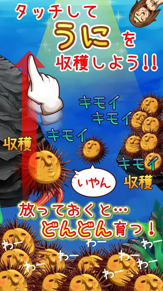 海胆和神明的大冒险手游app截图