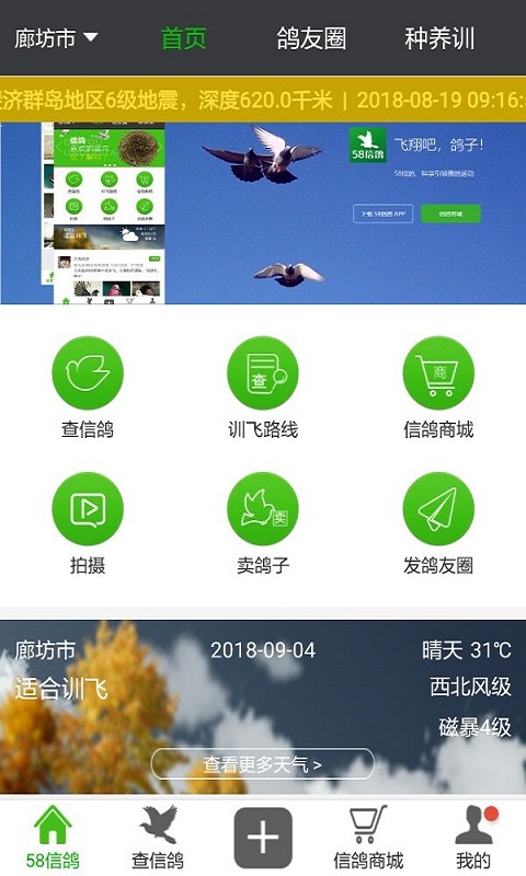 58信鸽手机软件app截图