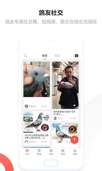 搜鸽手机软件app截图