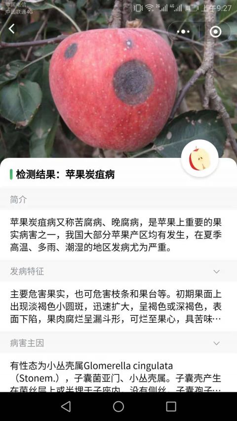 口袋农库手机软件app截图