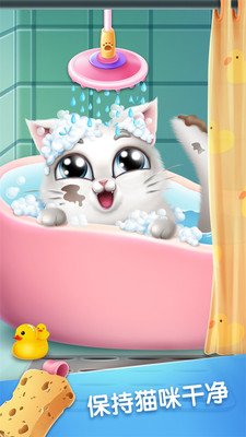 口袋猫咪手游app截图