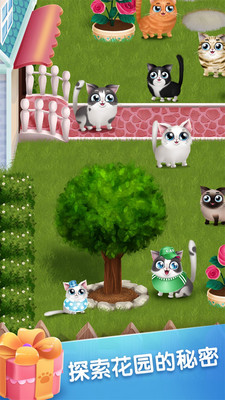口袋猫咪手游app截图