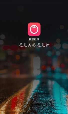 番茄交友手机软件app截图
