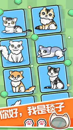 跑跑云养猫手游app截图