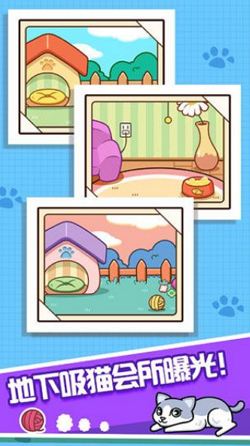 跑跑云养猫手游app截图