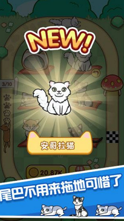 跑跑云养猫手游app截图