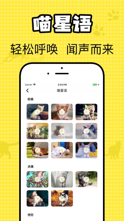 猫咪翻译官手机软件app截图