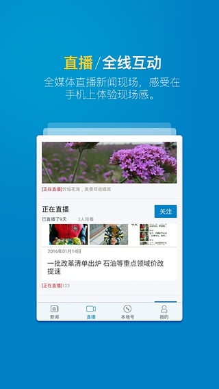 彩练新闻手机软件app截图
