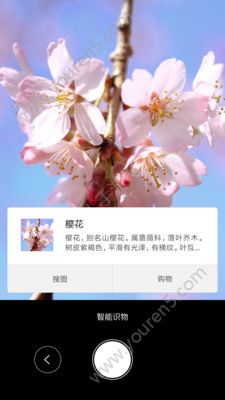 时时识物手机软件app截图