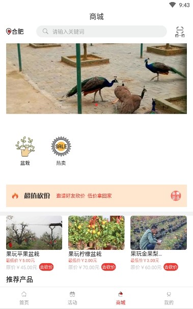 休闲合肥手机软件app截图