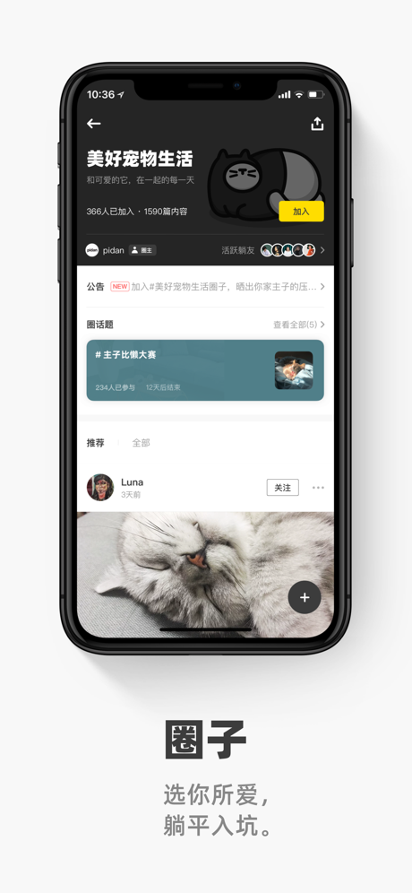 躺平手机软件app截图