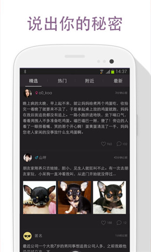 不得姐的秘密 最新版手机软件app截图