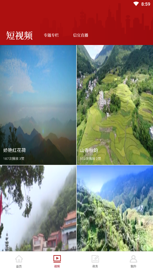 云端信宜 电脑版手机软件app截图