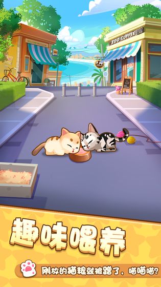 爱猫公社手游app截图