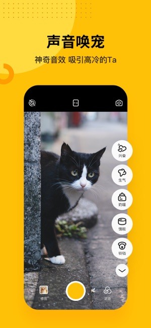 爪叽手机软件app截图