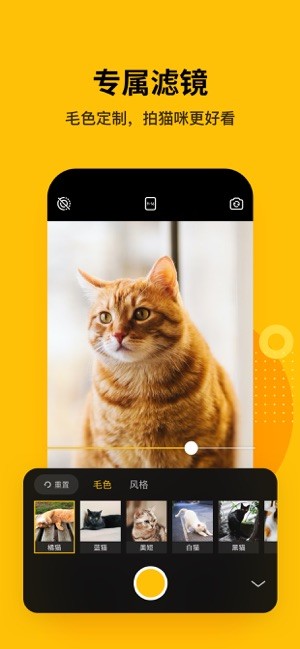 爪叽手机软件app截图