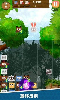 动物消除手游app截图