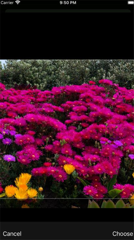 Photobox Widget手机软件app截图
