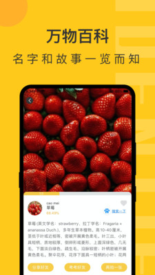 随手拍照识物手机软件app截图