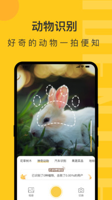 随手拍照识物手机软件app截图