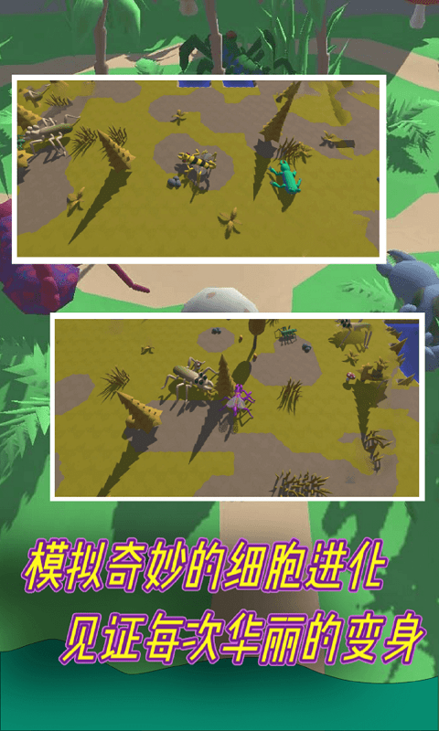昆虫进化模拟器手游app截图