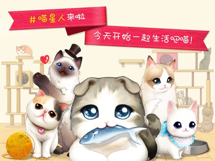 猫猫咖啡屋 果盘版手游app截图