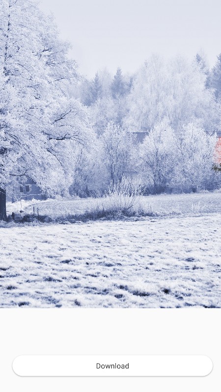 芒果壁纸手机软件app截图