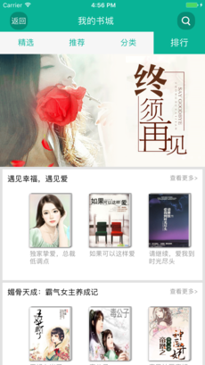 久久小说下载网 最新版手机软件app截图