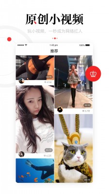 一点资讯 极速版手机软件app截图