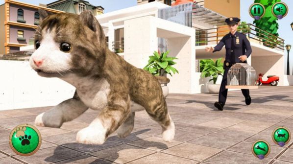 非常宠物猫模拟器 安卓版手游app截图